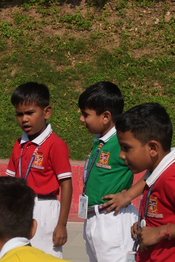 0_69d6082139ebe.jpg