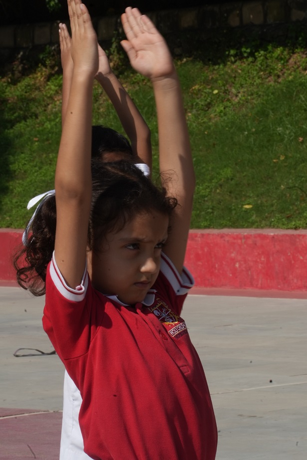 3_69d60821426b6.jpg