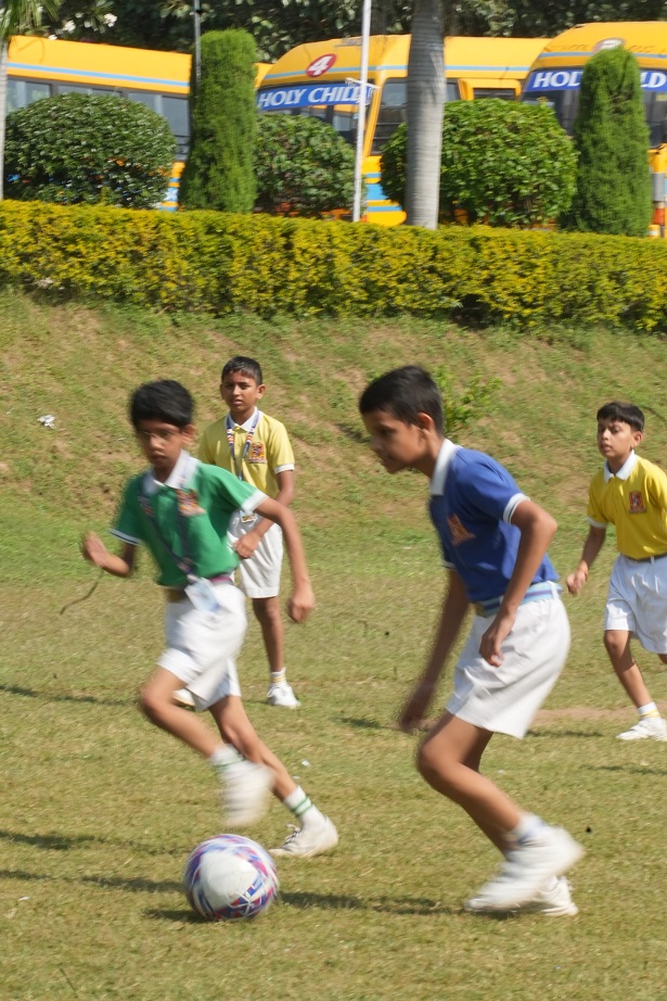 5_69d6082145797.jpg