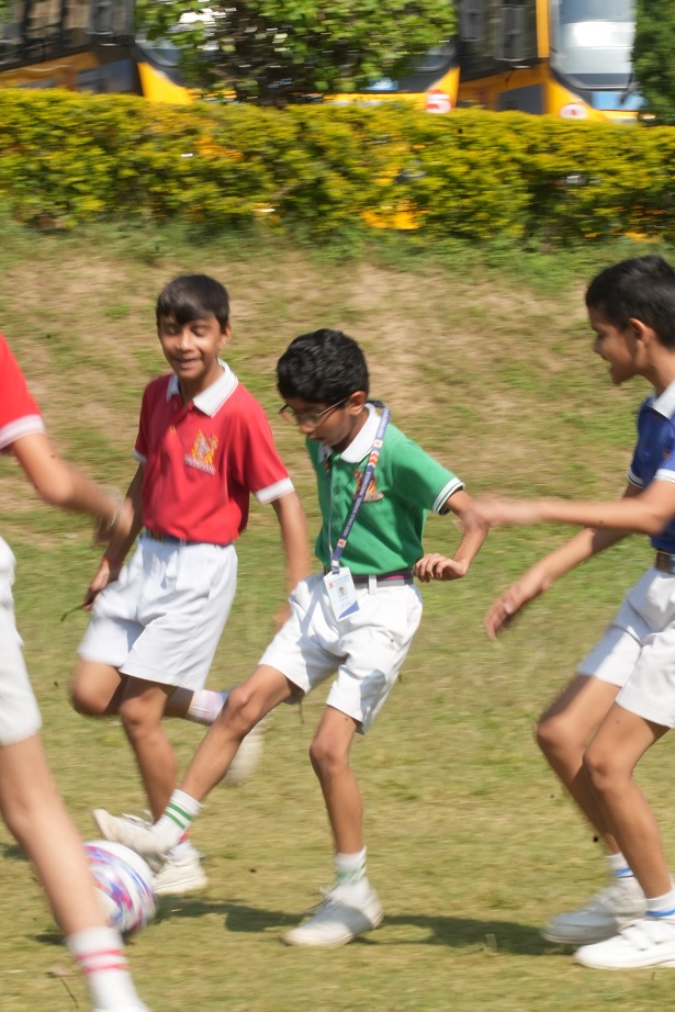 6_69d60821473e8.jpg